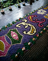 Dywan kwiatowy i girlandy z procesji Bożego Ciała (2012) układany przez mieszkańców Spycimierza jako ponad dwustuletnia tradycja, fot. Jan Smaga