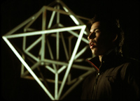 David Maljkovic,
kadry z filmu "Images With Their Own Shadows", 2008
