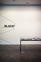 wystawa „Black² - wystawa według koncepcji Konstantina Grcica”, fot. Bartosz Stawiarski