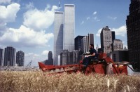 Agnes Denes, Wheatfield - A Confrontation: Battery Park Landfill, Downtown Manhattan - The Harvest, 1982, C-print, paper, edition of 6. Courtesy of the artist and acb Gallery, Budapest.