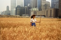 Agnes Denes, Wheatfield - A Confrontation: Battery Park Landfill, Downtown Manhattan - With Agnes Denes Standing in the Field, 1982, C-print, paper, edition of 6. Courtesy of the artist and acb Gallery, Budapest.